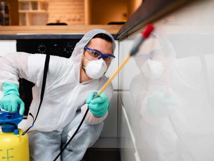A man in protective gear sprays a pest control product in a garden, ensuring safety while managing pests.