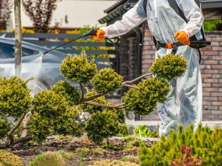A man wearing protective clothing uses a hose to spray water on a bush, tending to the plants in his garden.