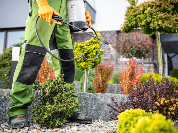 A man in green overalls sprays plants with a sprayer, tending to his garden with care and attention.