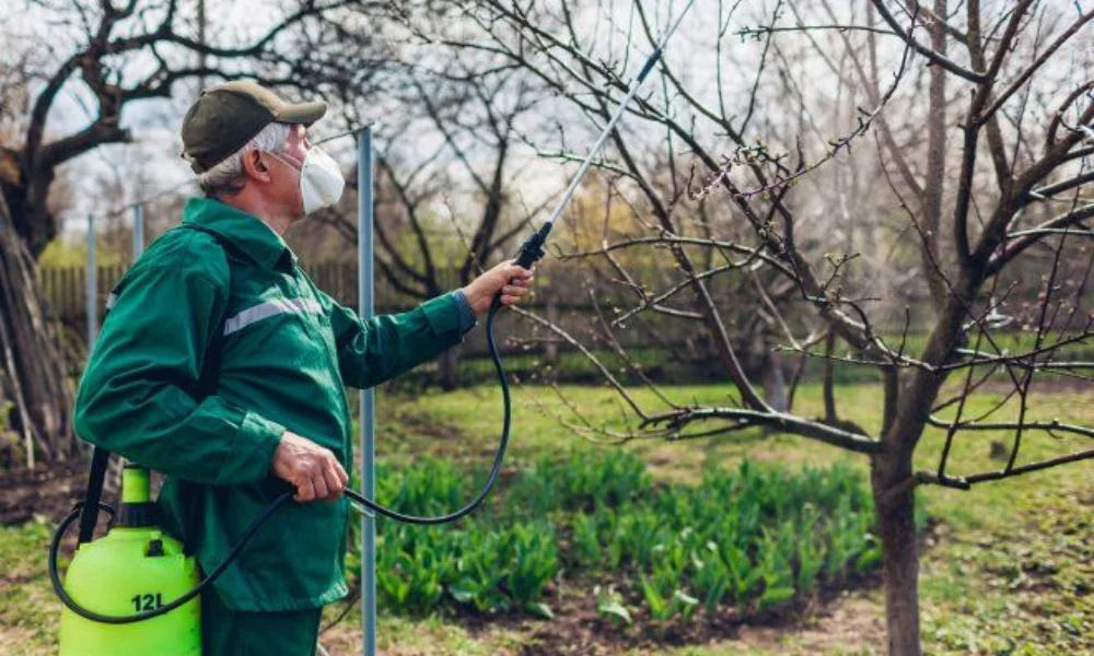 person in a green uniform and cap sprays a tree