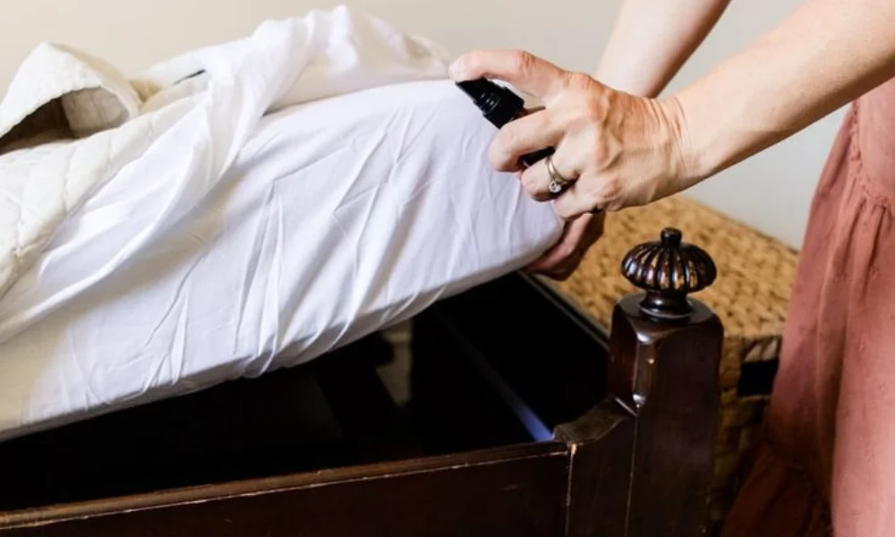 neem oil and bed bugs