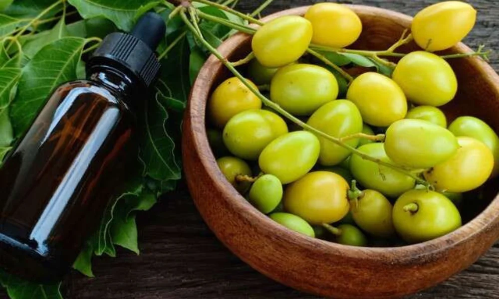 wooden bowl filled with green and yellow neem fruits-neem oil and bed bugs