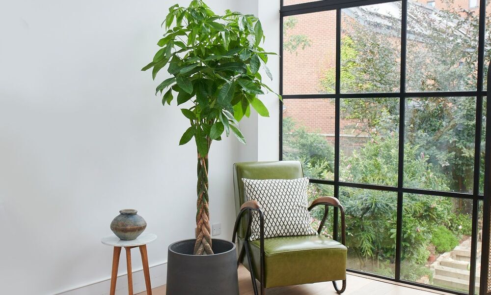 Extra Humidity is Best