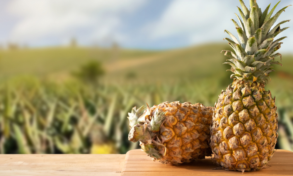 Both Temperature and Growing Environment