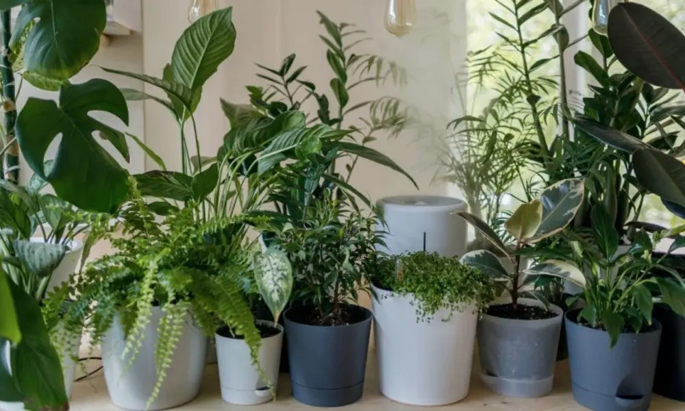 Common Mistakes Beginners Should Avoid