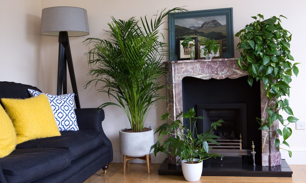 What “Low Light” Actually Means in an Apartment