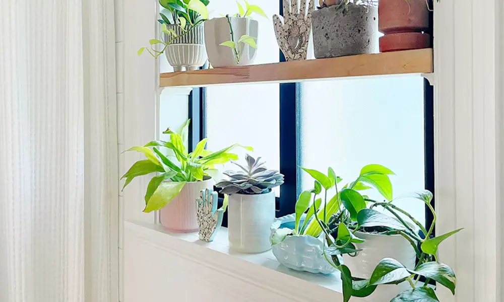 Trending Topic: Smart Watering Tools