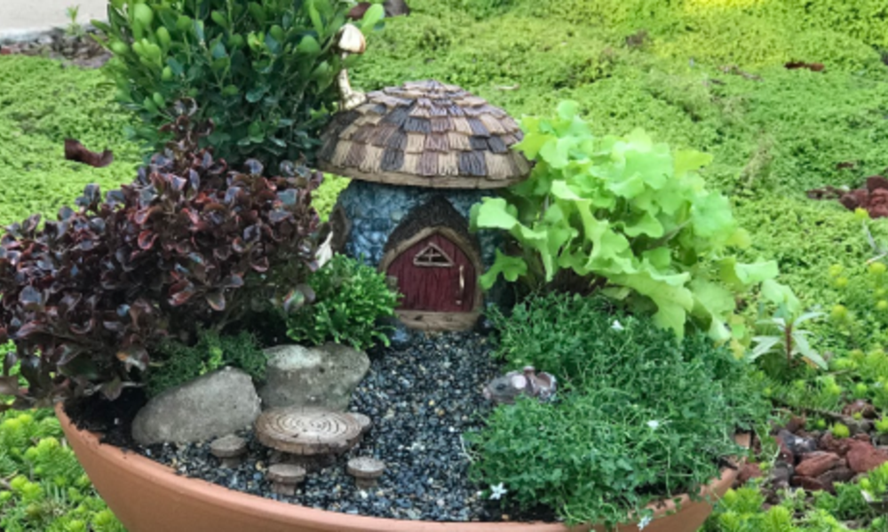 Create a Mini Garden World