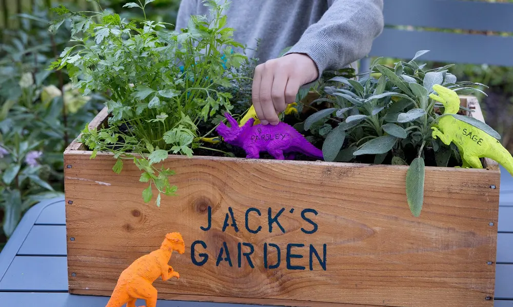 Grow a Name with Plants