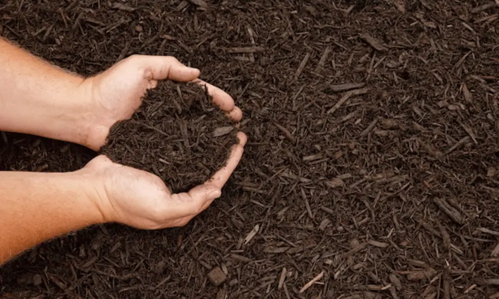 What Is Mulch Made Of?