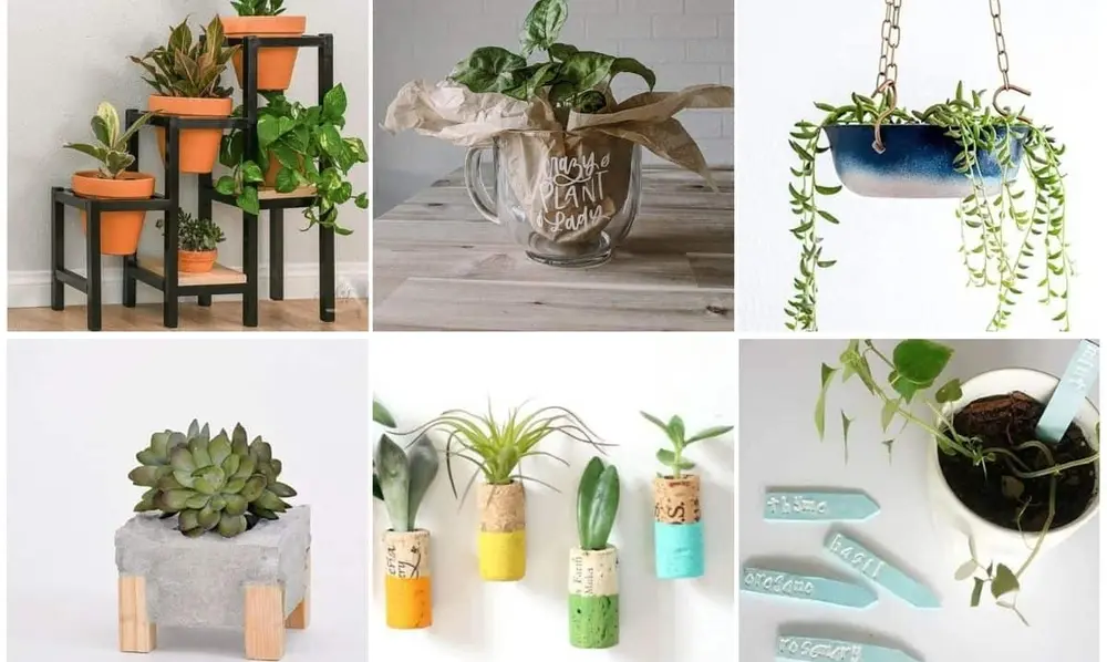 Why DIY Plant Ideas Are Worth Trying