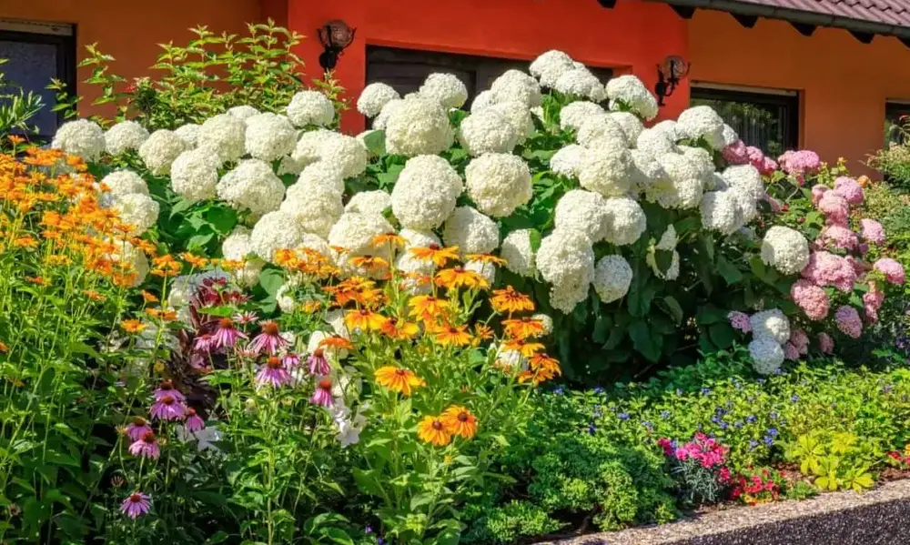 Why Use Quick Growing Flowering Plants?
