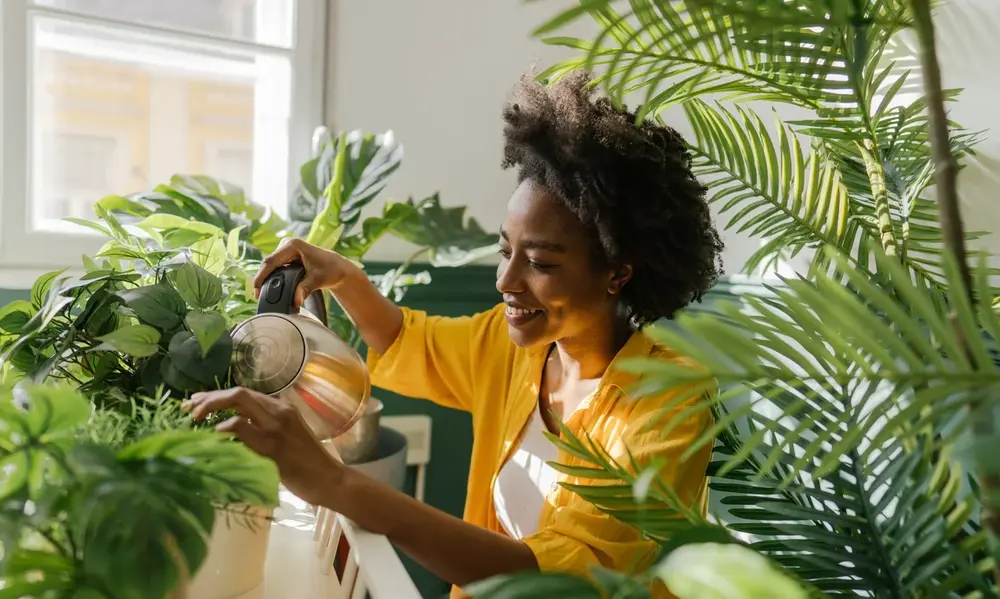 Peeacelily | The Power of Greenery: How Plants for Mental Health Transform Your Well-Being The Therapeutic Power of the Care Routine