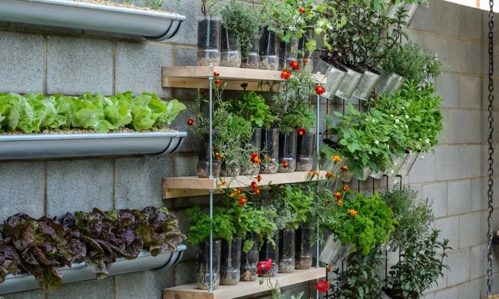 Choosing the Right Containers