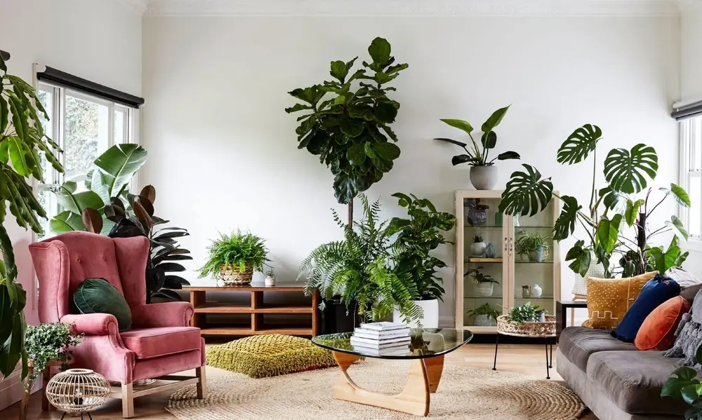 Cozy and Inviting Plant Corner Ideas