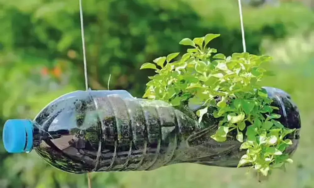 Essential Tips for Upcycling Success