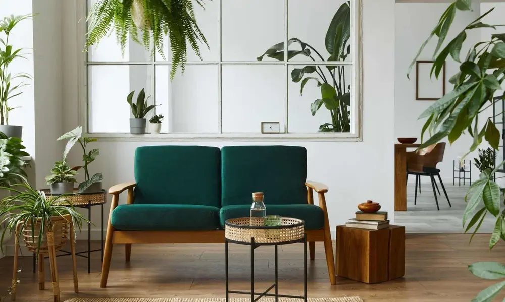 Expert Tips for Indoor Plant Styling