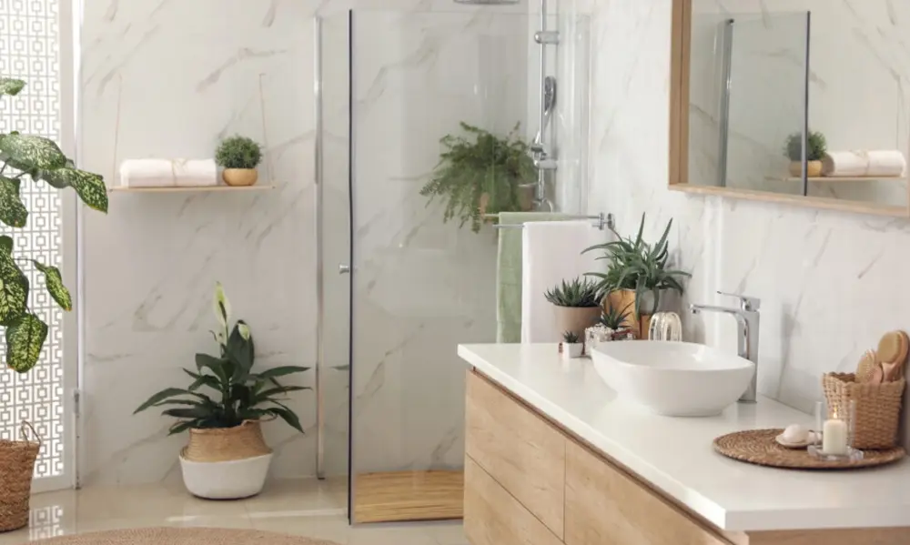 Peeacelily | Best Plants for the Bathroom: Transform Your Space Into a Tropical Oasis Selecting the Absolute Best Plants for Your Bathroom