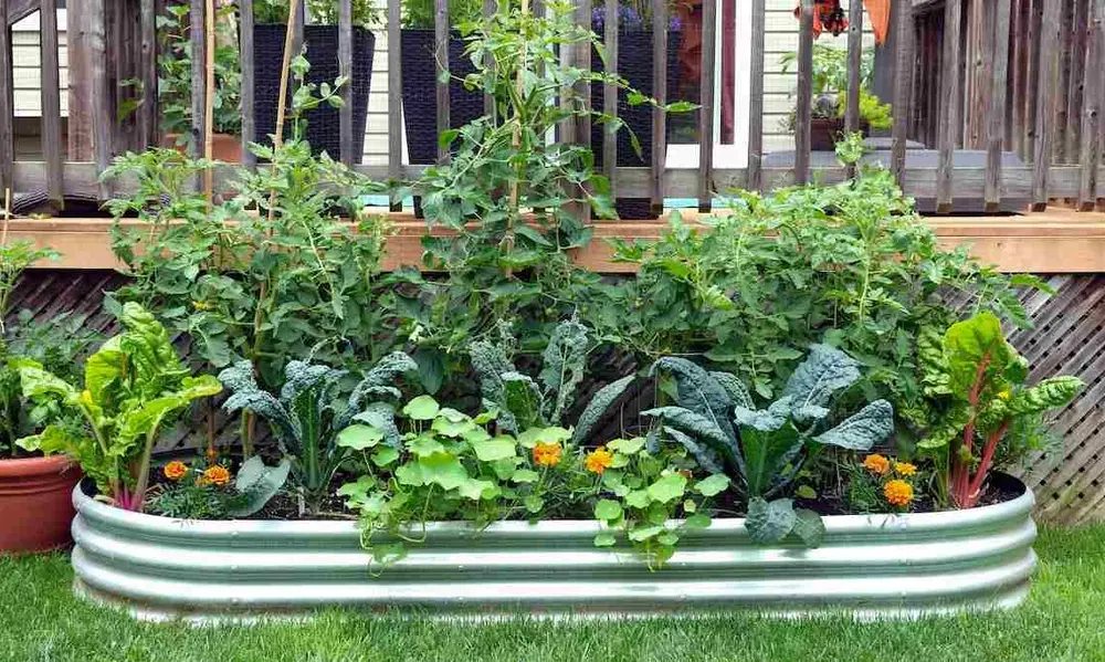 Selecting the Best Greenery for Success