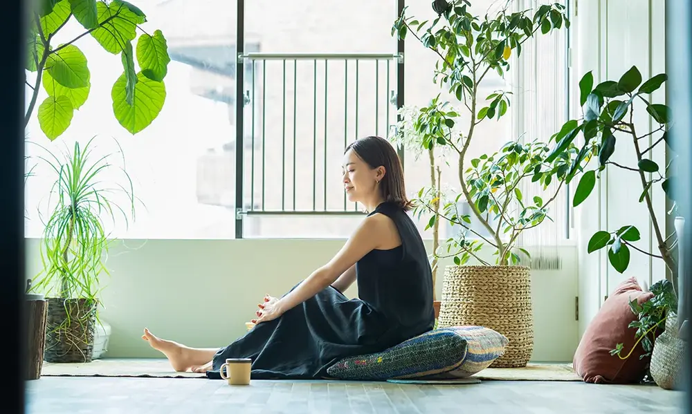 Peeacelily | The Power of Greenery: How Plants for Mental Health Transform Your Well-Being Selecting the Best Plants for Anxiety and Stress Relief