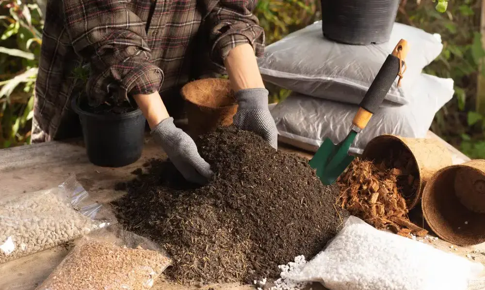 Peeacelily | Summer Garden Tips: Beat the Heat and Protect Your Backyard Oasis Moving Containers and Potted Arrangements