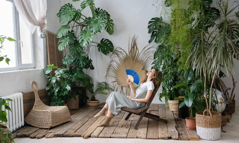 The Foundation of Plant Home Decor: Finding Your Style