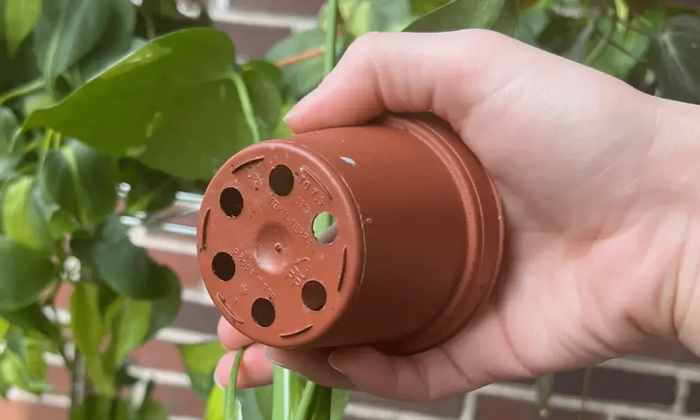 Peeacelily | Essential Flower Garden Tips for Beginners: Grow a Vibrant, Blooming Backyard Digging the Perfect Hole