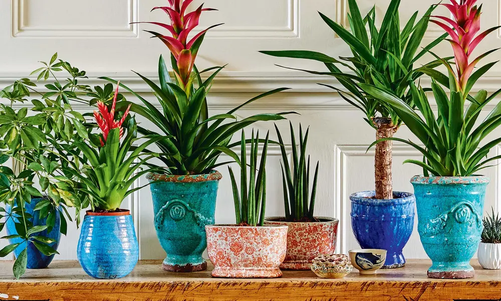 Top Creative Concepts for Handcrafted Planters