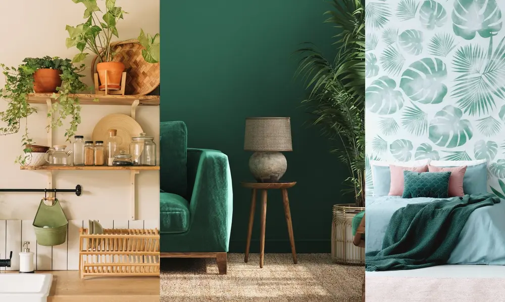 Why Greenery Matters for Your Well-being