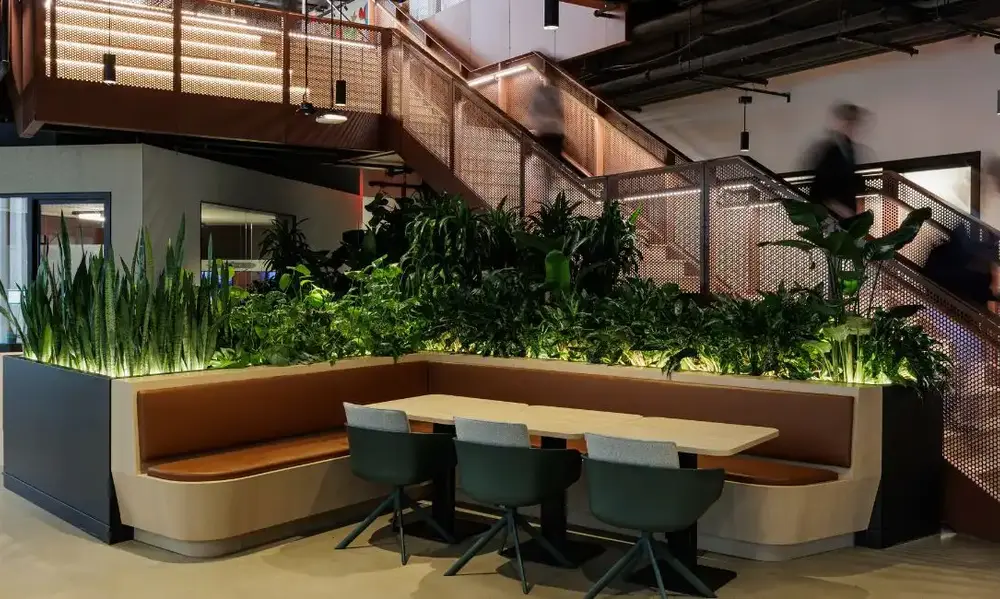 Why Invest in Professional Houseplant Interior Design?