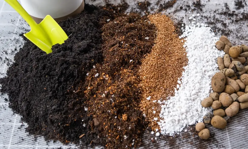 Why a Custom Plant Soil Mix Matters