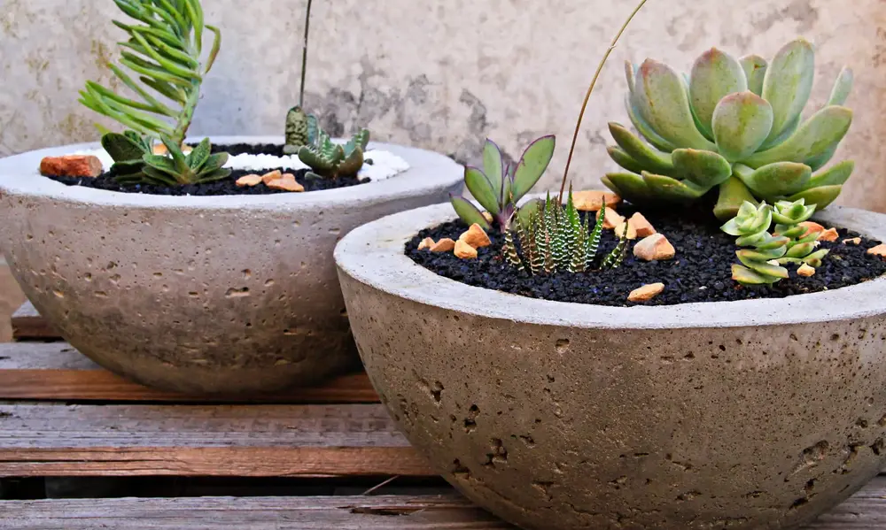 Essential Specifications for Concrete Planters