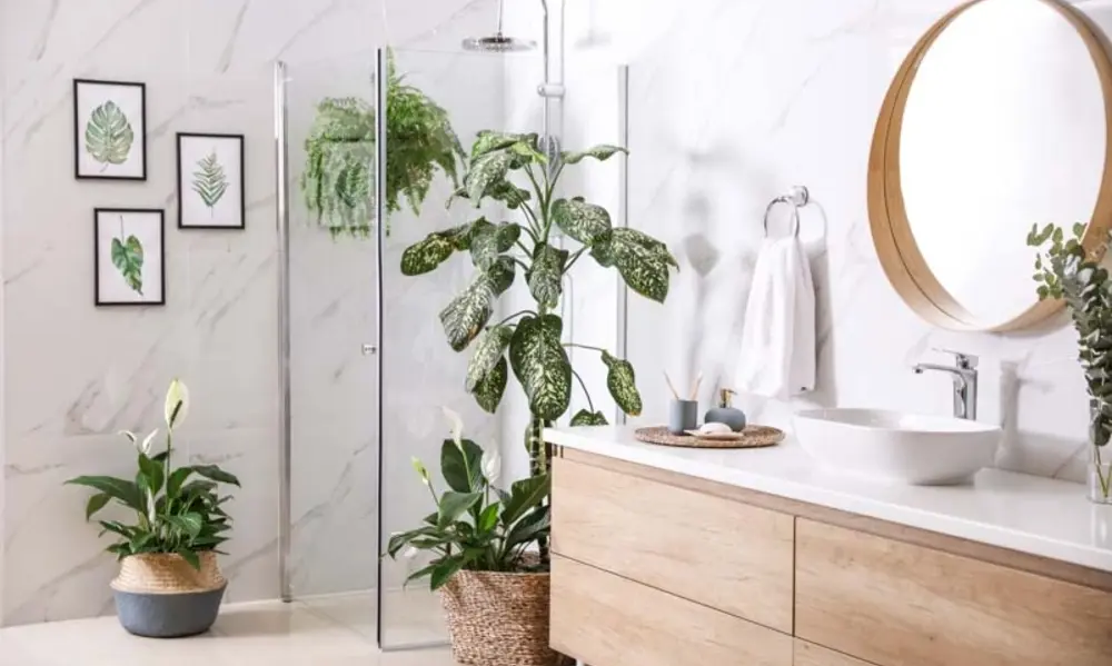 Peeacelily | Best Plants for the Bathroom: Transform Your Space Into a Tropical Oasis Maintaining Adequate Air Circulation