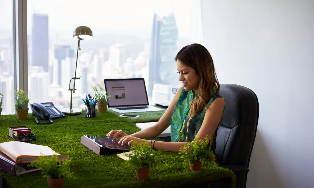 Peeacelily | Office Plants 2026: Low Maintenance Picks for Better Mood and Productivity Best Plants for Anxiety vs. Productivity in Offices