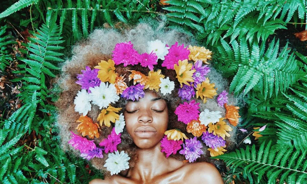 Best Flowers for Stress Relief 
