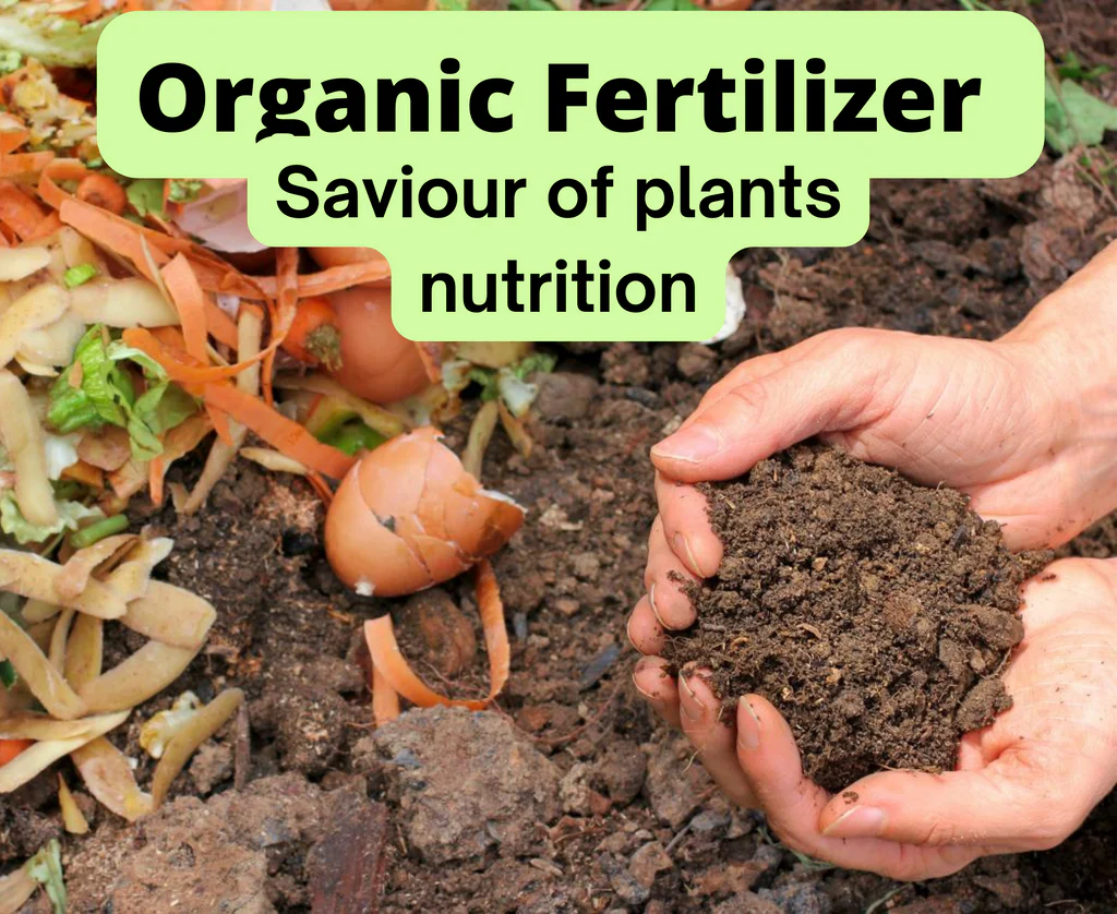Hands holding organic soil next to composting waste for plant nutrition.