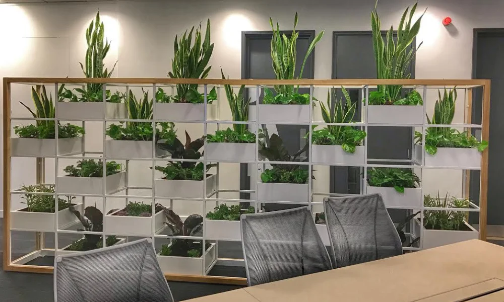 Peeacelily | Office Plants 2026: Low Maintenance Picks for Better Mood and Productivity Best Office Plants Low Light and Windowless Office Plants