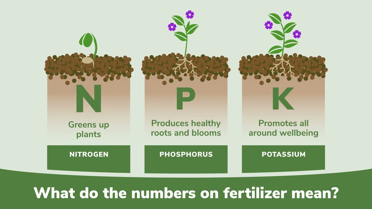 Understanding fertilizer nutrients: NPK breakdown for plant growth, root development, and overall health.