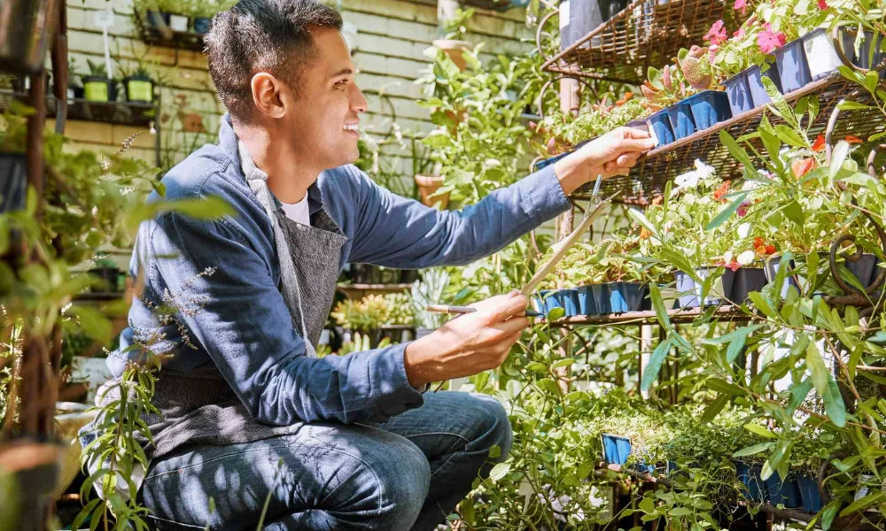 Peeacelily | Green Space Wellness: How Indoor Plants Build a Calmer Home Plant Therapy Benefits You Can Actually Feel