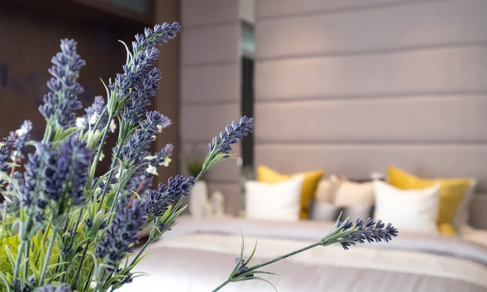 Benefits of Lavender Plant in Bedroom