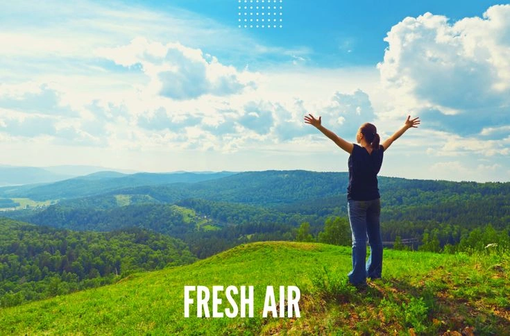 Peeacelily | How Indoor Air Quality Affects Your Mood Why Fresh Air Helps You Feel Better
