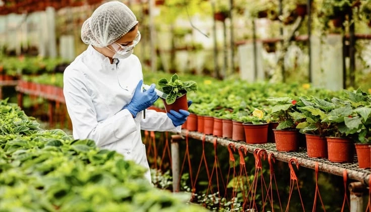 Peeacelily | NPK Fertilizer Explained: What 10-10-10 and 20-20-20 Mean What Do the Three Fertilizer Numbers Mean?