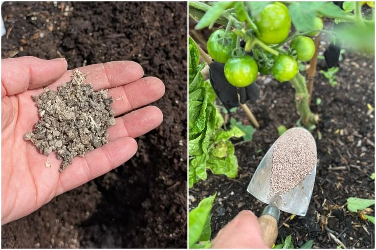 How to Fix Fertilizer Burn on Plants