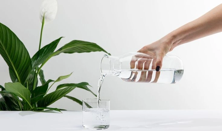 Peeacelily | How Often to Water a Peace Lily How to Water a Peace Lily Correctly