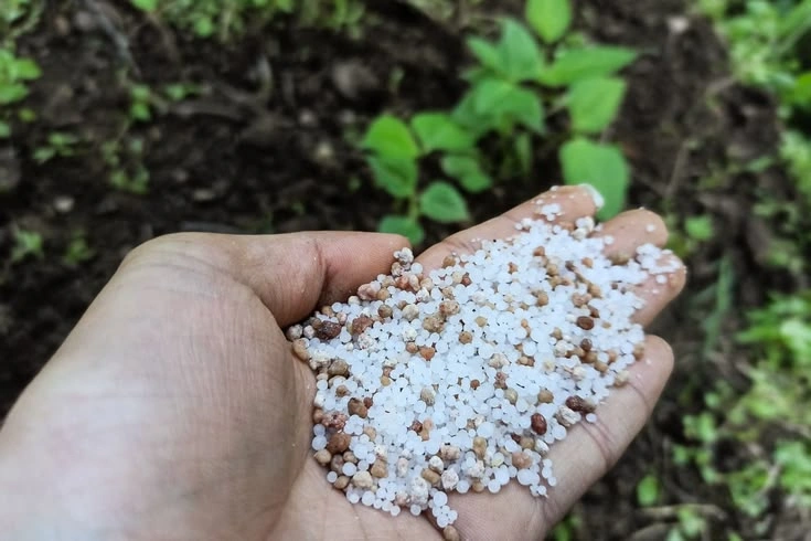 A Simple Routine for Faster Natural Growth