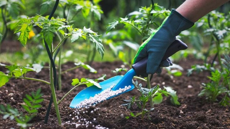 What Do the Three Numbers on Fertilizer Mean?