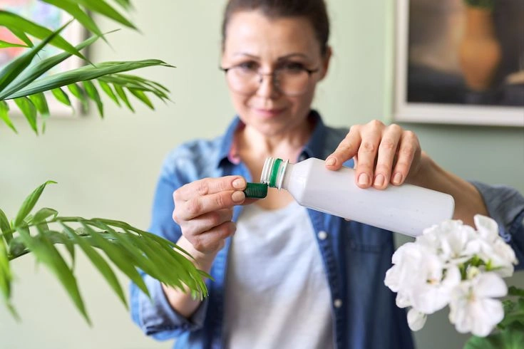 How to Fertilize Houseplants Safely