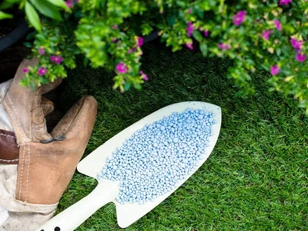 Peeacelily | Best Fertilizer for Houseplants: What to Look For Common Fertilizing Mistakes