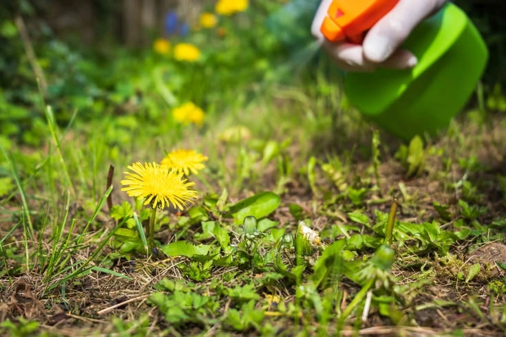 2. Water According to the Plant and Soil