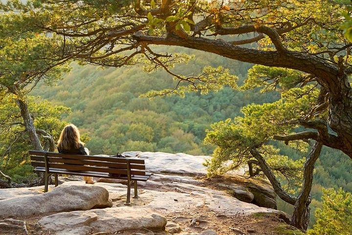 Peeacelily | Why a Calm Bedroom Improves Sleep Quality The Connection Between Your Environment and Your Brain